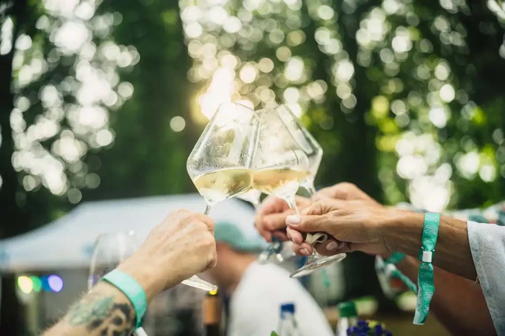 Hände mt Weingläsern im Gegenlicht